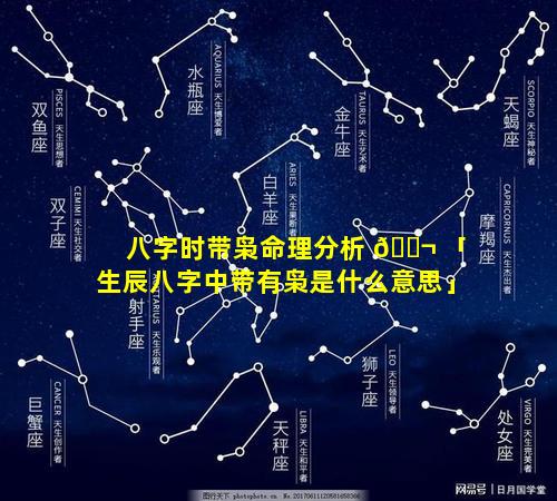 八字时带枭命理分析 🐬 「生辰八字中带有枭是什么意思」